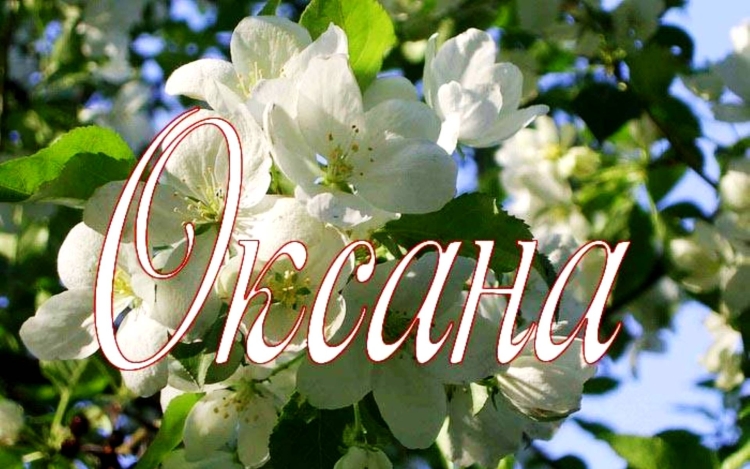 Тимур надпись