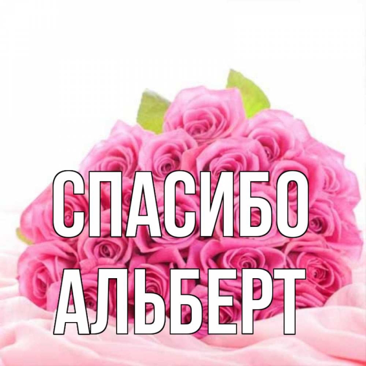 Я люблю Коля