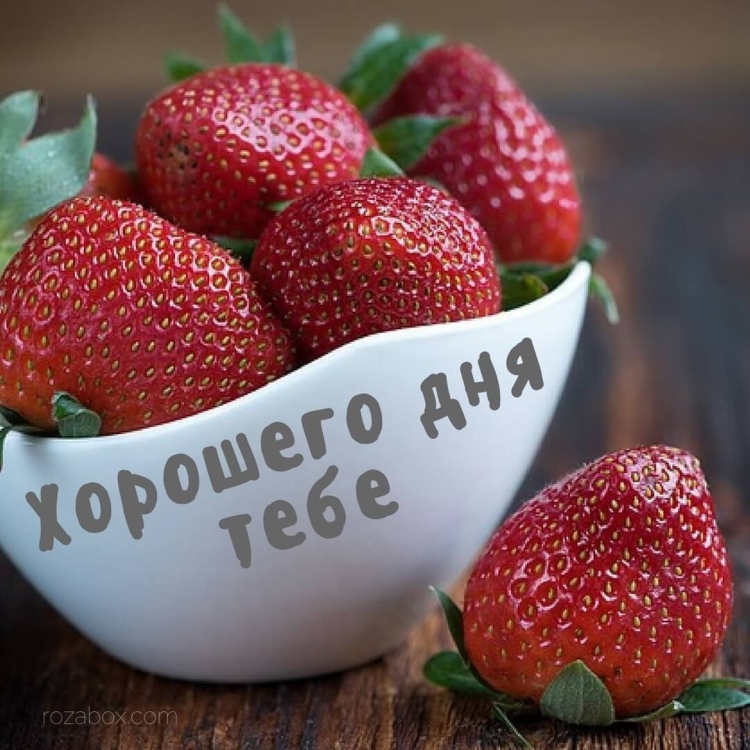 Доброе августовское утро с природой