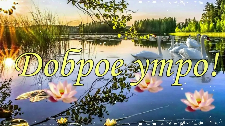 Открытки с добрым утром лес