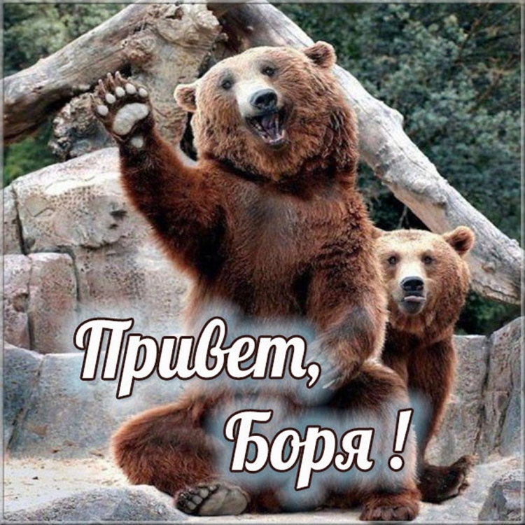 Открытки с добрым утром му