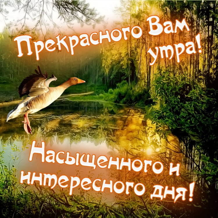 Статусы с добрым утром прикольные