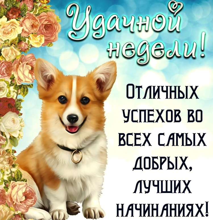 С понедельником удачной недели