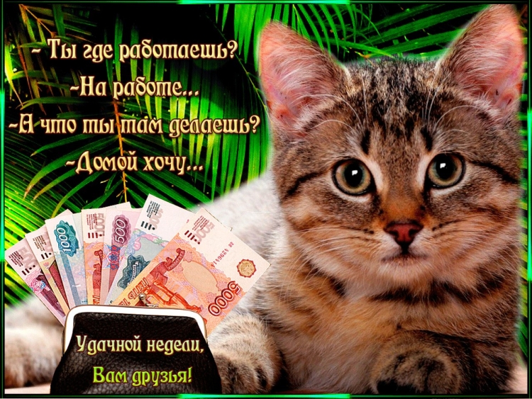 Поздравление с рабочей неделей