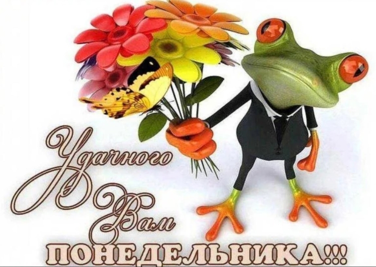 Среда пришла неделя прошла
