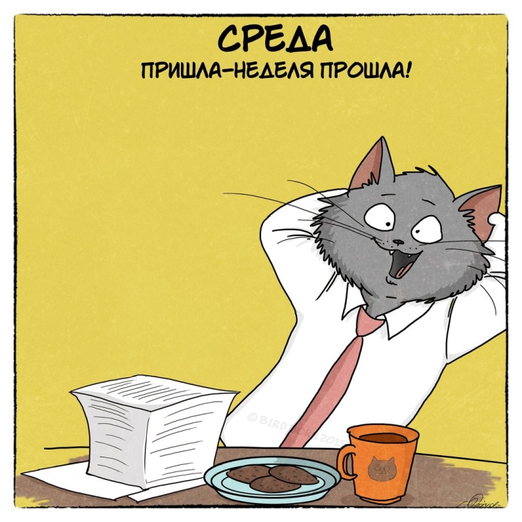 С добрым утром среды прикольные