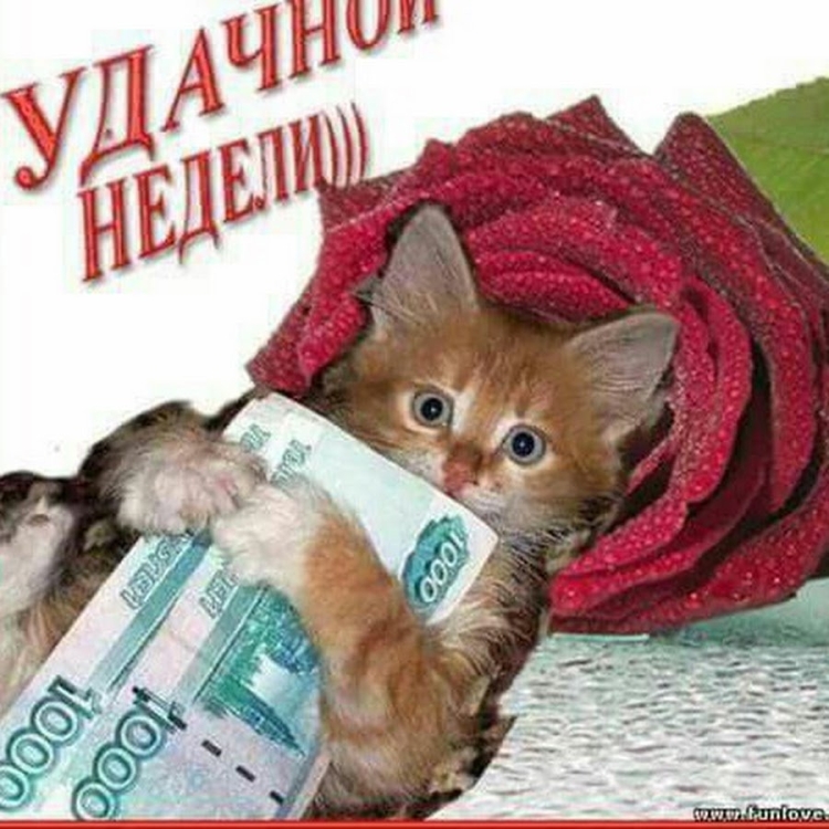 Открытки с пожеланиями удачной недели