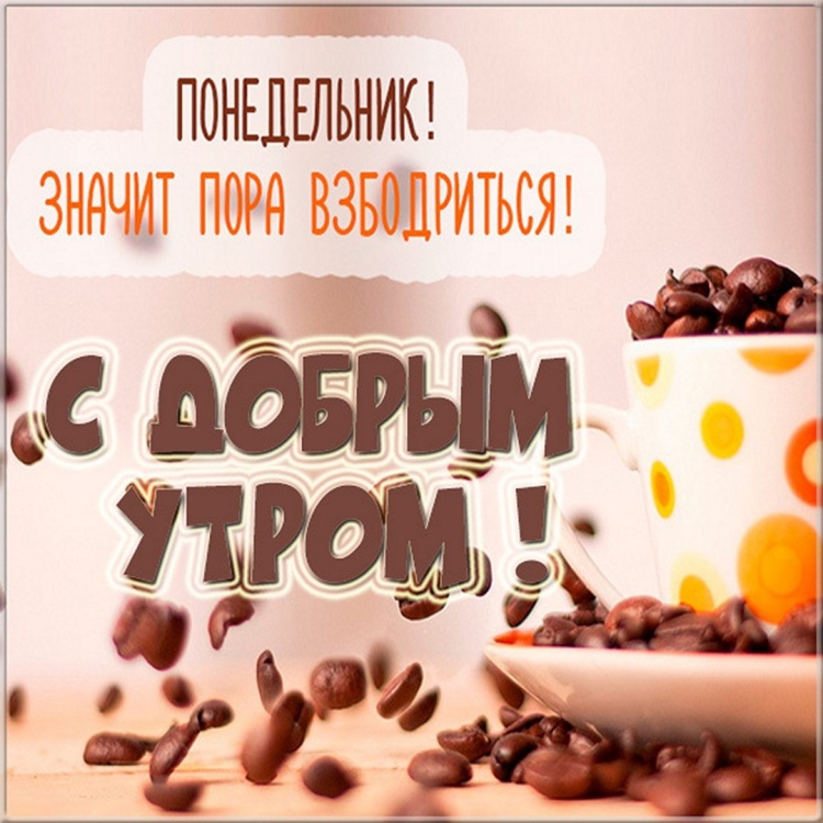 Среда приколы