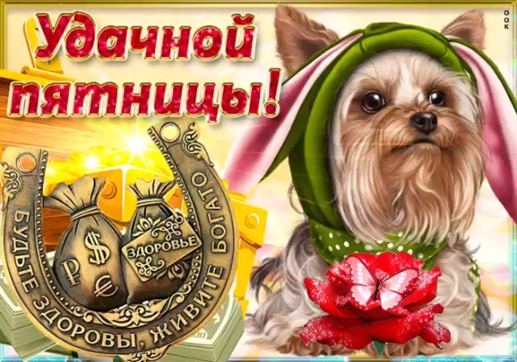 Заряд позитива на день