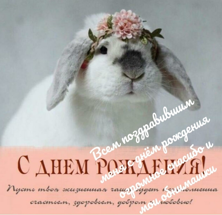 Открытка цветы
