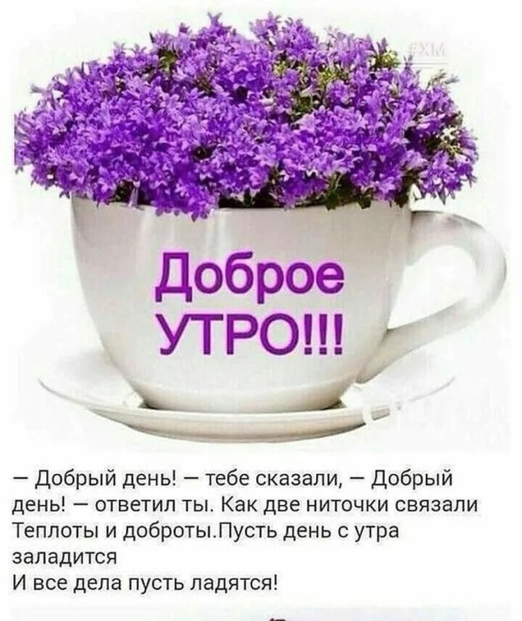 С добрым зимним утром понедельника