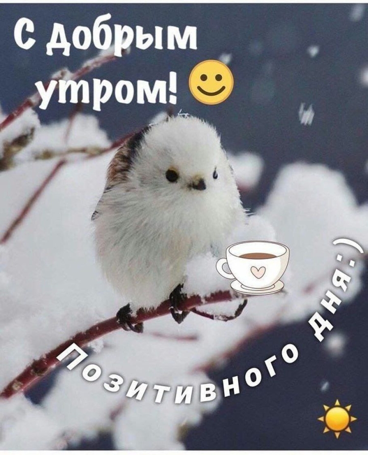 Доброе утро цитаты