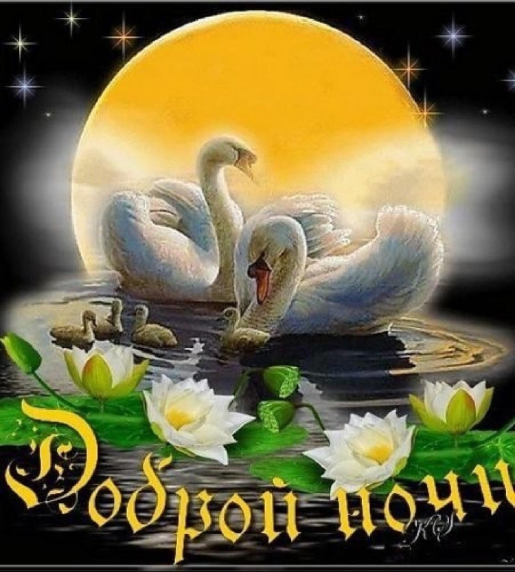 Спокойной весенней ночи с лебедем