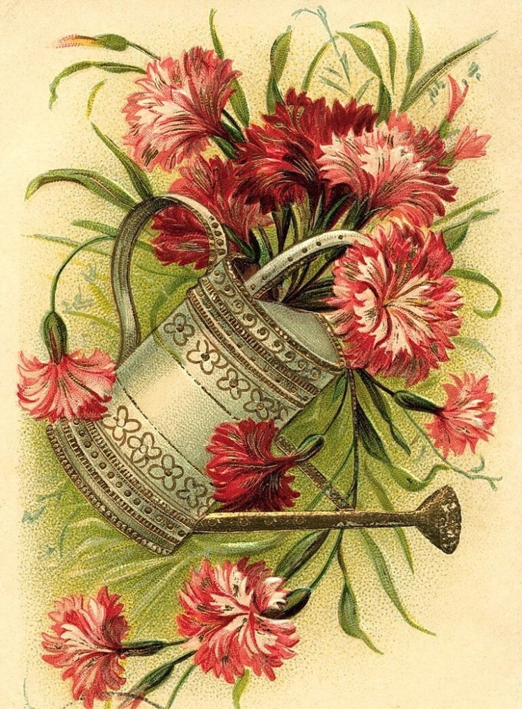 Винтажная открытка с розами