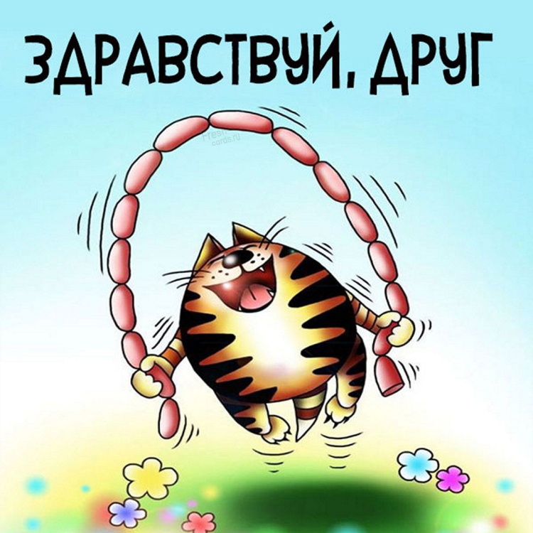 Здравствуйте картинки