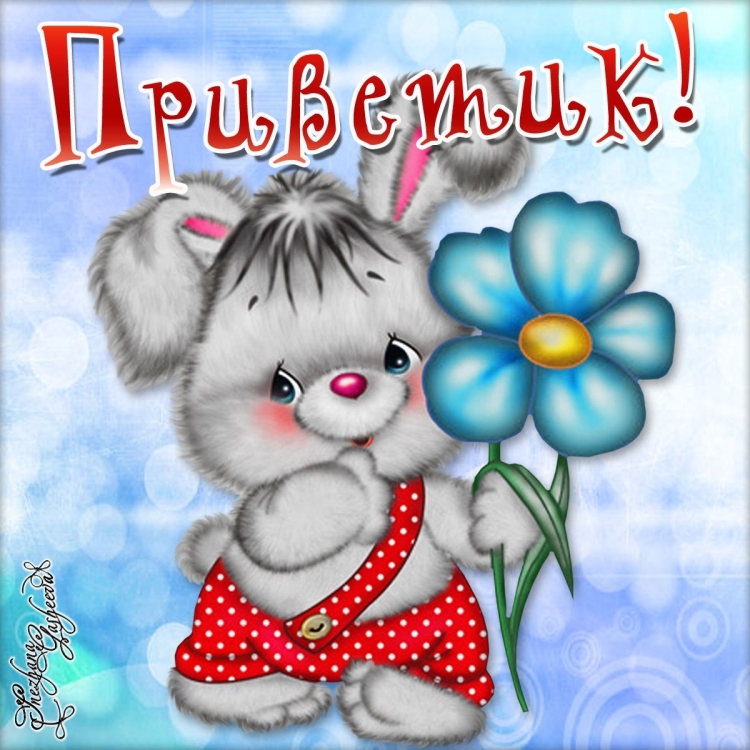 Привет открытки красивые