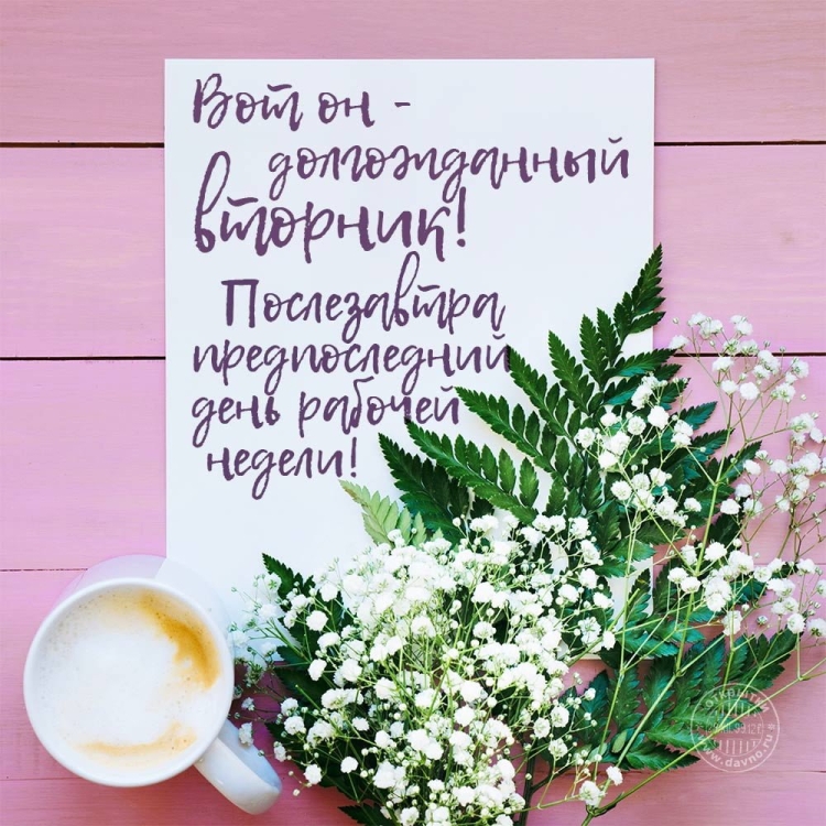 Красивые открытки с разными пожеланиями бесплатно