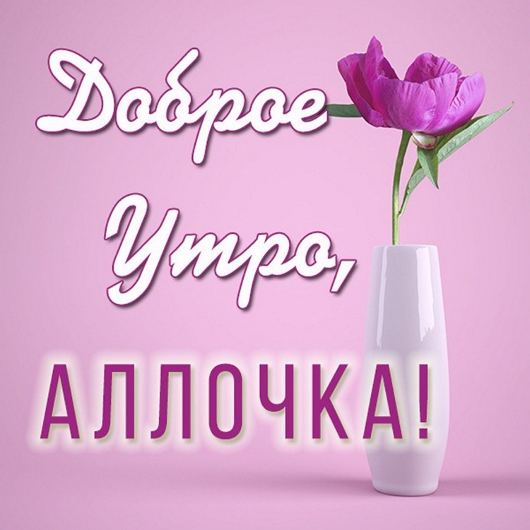 Нежные розы для тебя