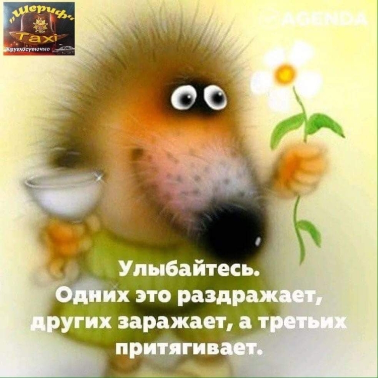 Позитивные картинки
