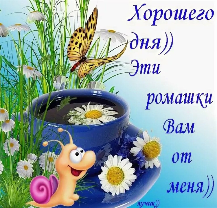 Открытки с пожеланием отличного дня