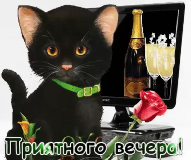 Спокойной ночи необычные оригинальные