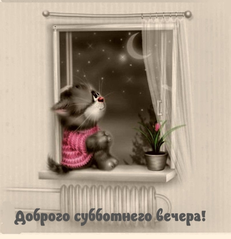 Открытка добрый вечер мужчине