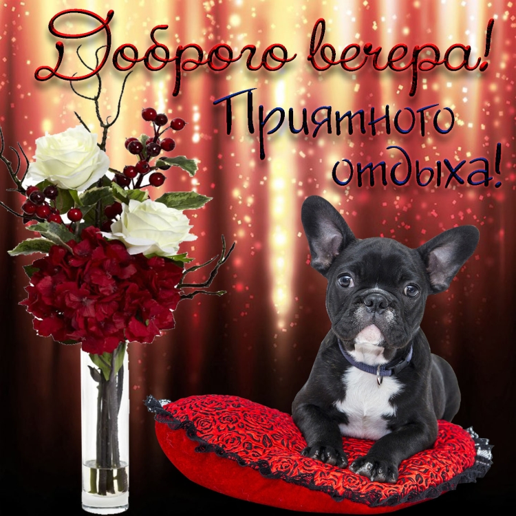 Поздравление с добрым вечером