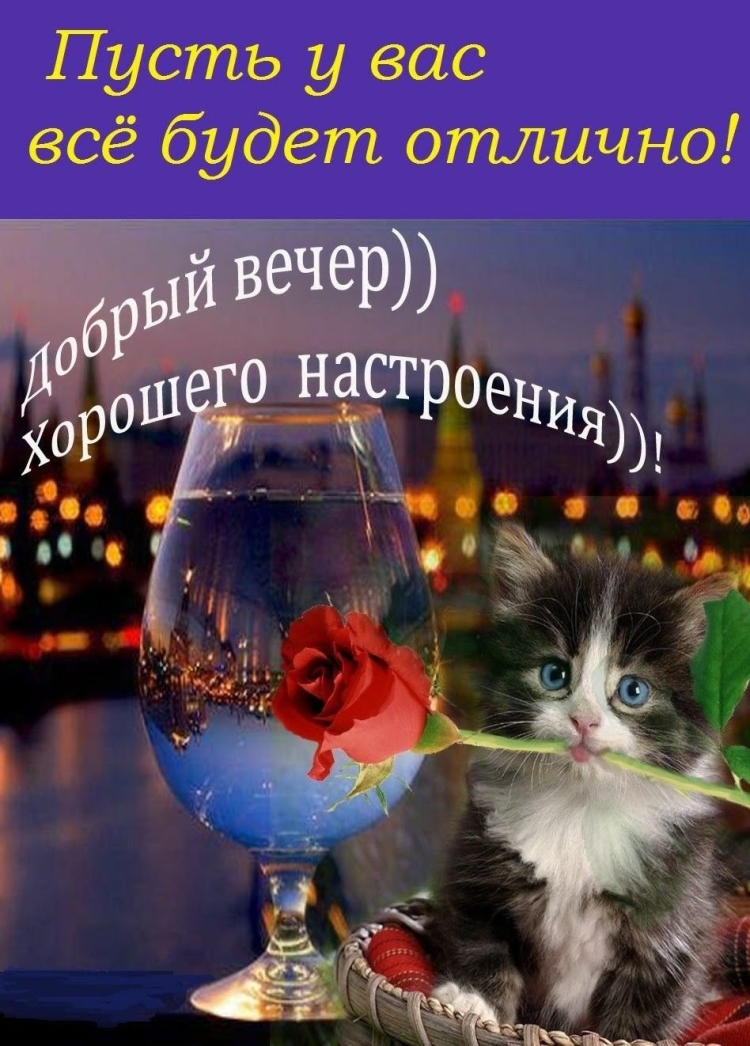 Добрый вечер Ежик