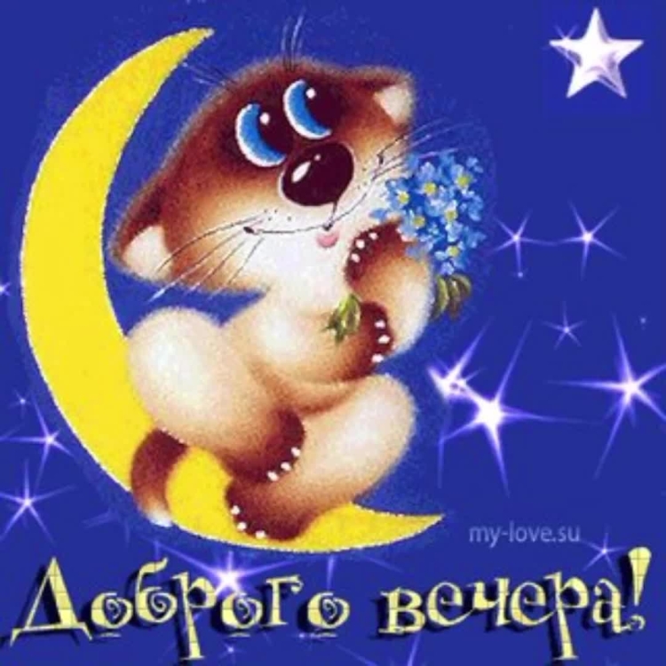 Добрый вечер среды