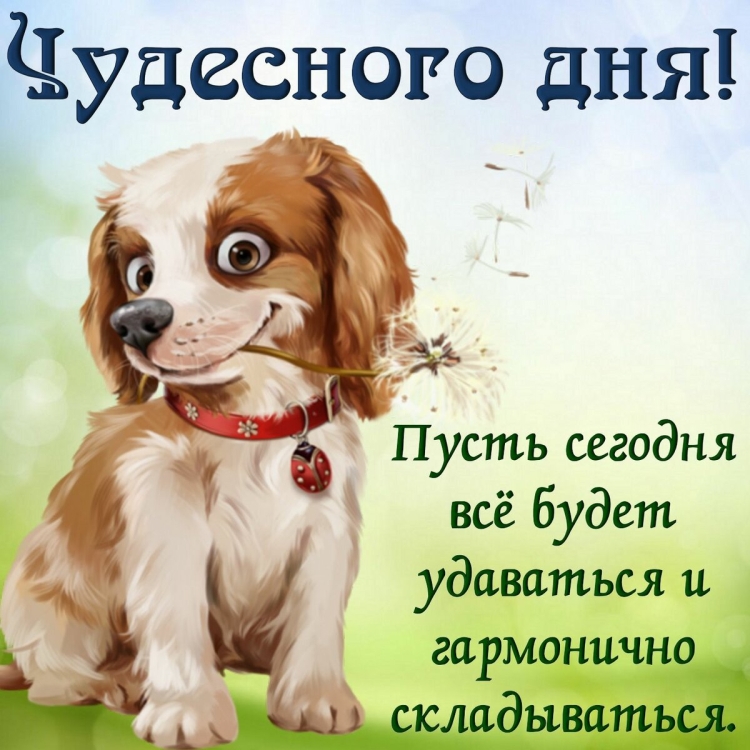 Хорошие пожелания