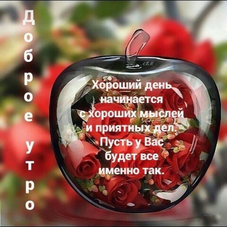 Пожелания на день