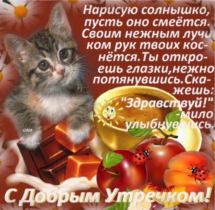 Пожелания с добрым утром любимой девушке