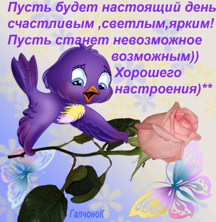 Добрый день стихи