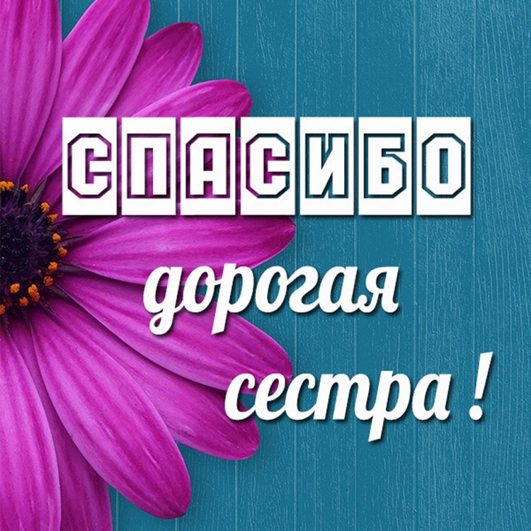 Спасибо за подарок