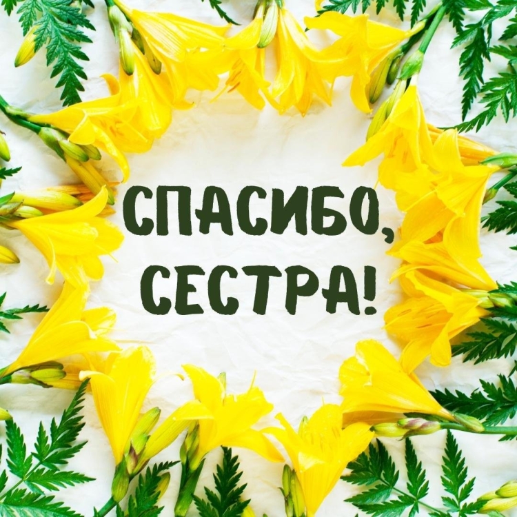 Спасибо за поздравления
