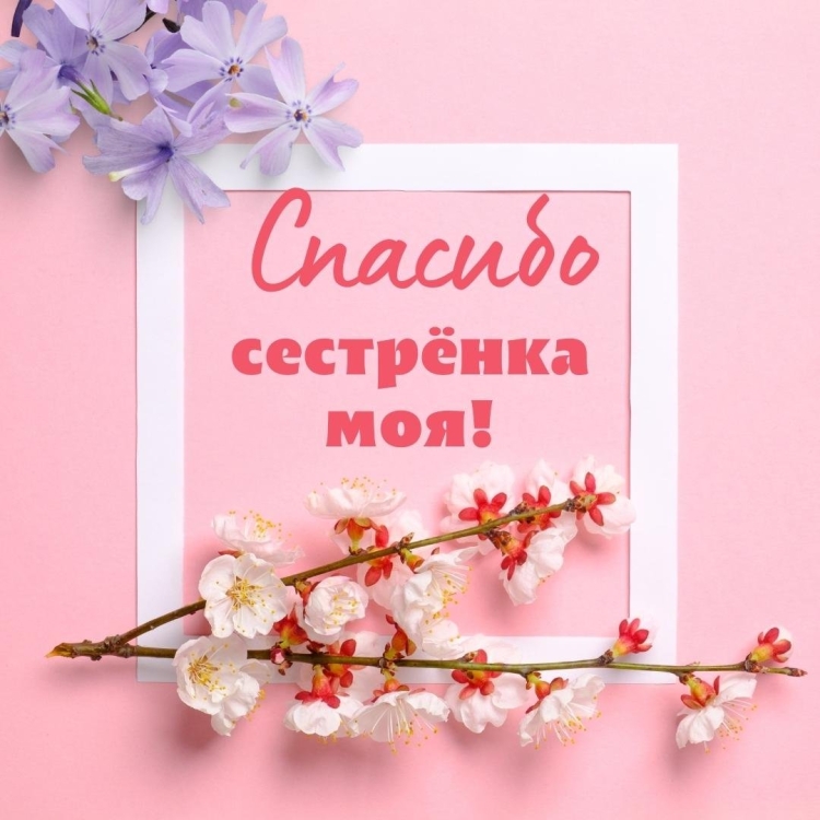 Поблагодарить за поздравления сестру