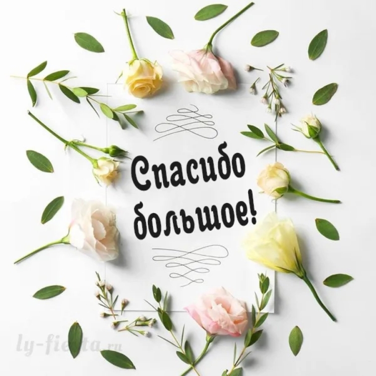 Открытка спасибо за поздравления