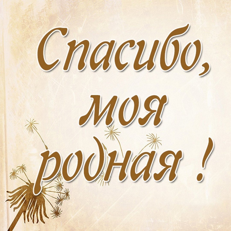 Милый Медвежонок с цветами