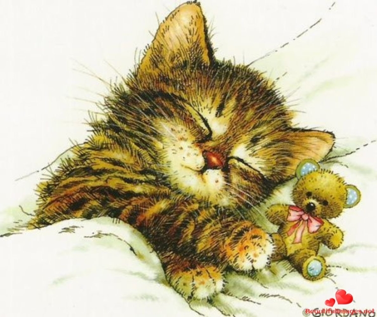 Сладких снов котик