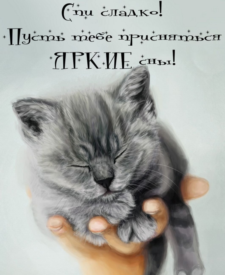 Спокойной ночи котик