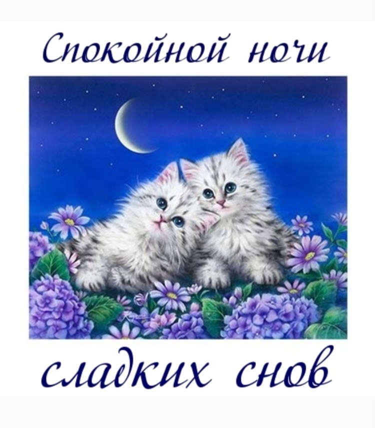 Нежный сон