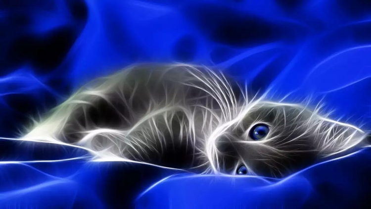Доброй ночи с котиком рыжим