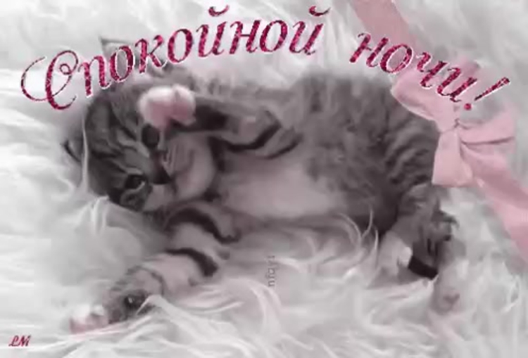 Сладких снов котик с сердечками