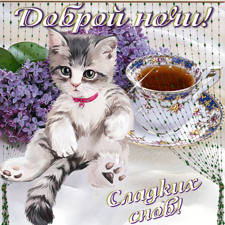 Нежный сон