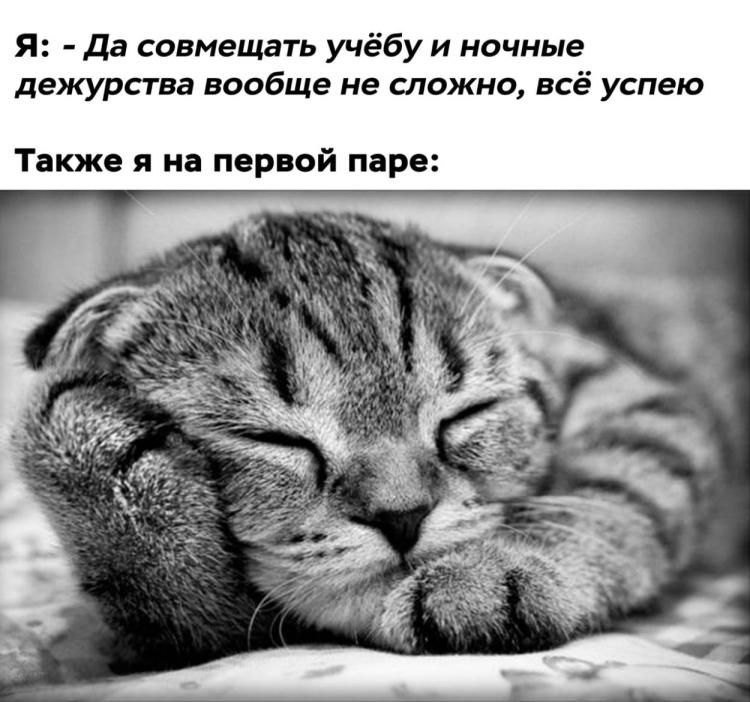 Нежный сон
