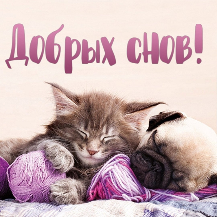 Спокойной ночи