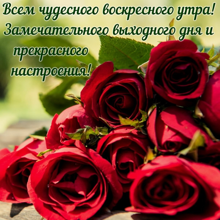 Открытки с добрым утром воскресенья