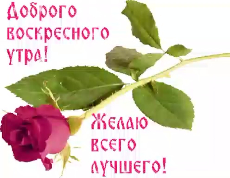 Хорошего воскресенья