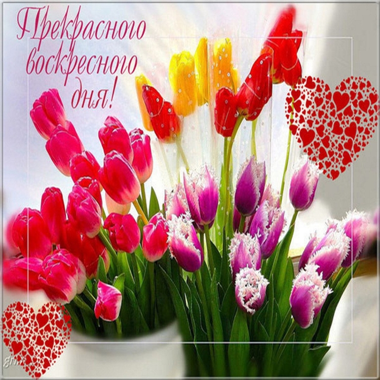 Хорошего воскресенья пожелания