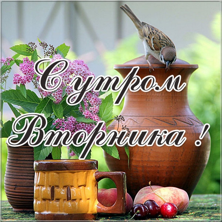 Пожелания доброго воскресного утра и хорошего дня